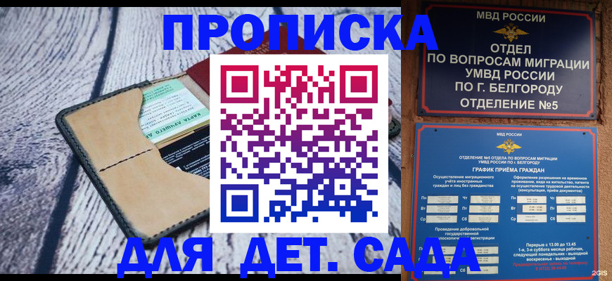 прописка гарантия в Новороссийске
